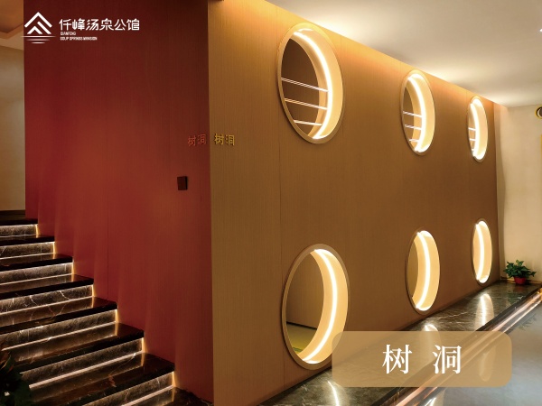 树洞